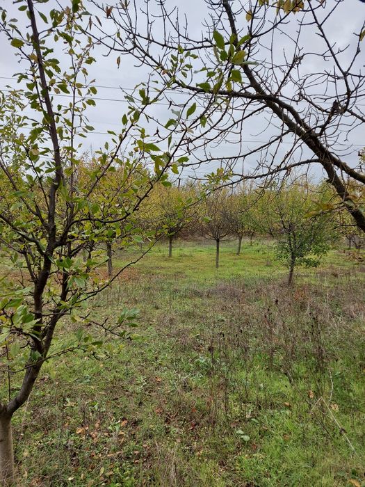 Продава се Къща в Търговище, Запад 2 - 40 кв.м за 510 €/кв.м - Снимка #10