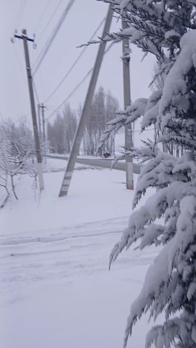 Келес куктерак 8хонали уйимни сотаман
