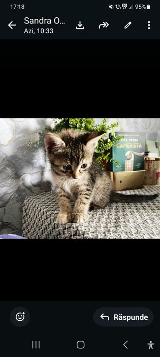 Ofer spre adoptie