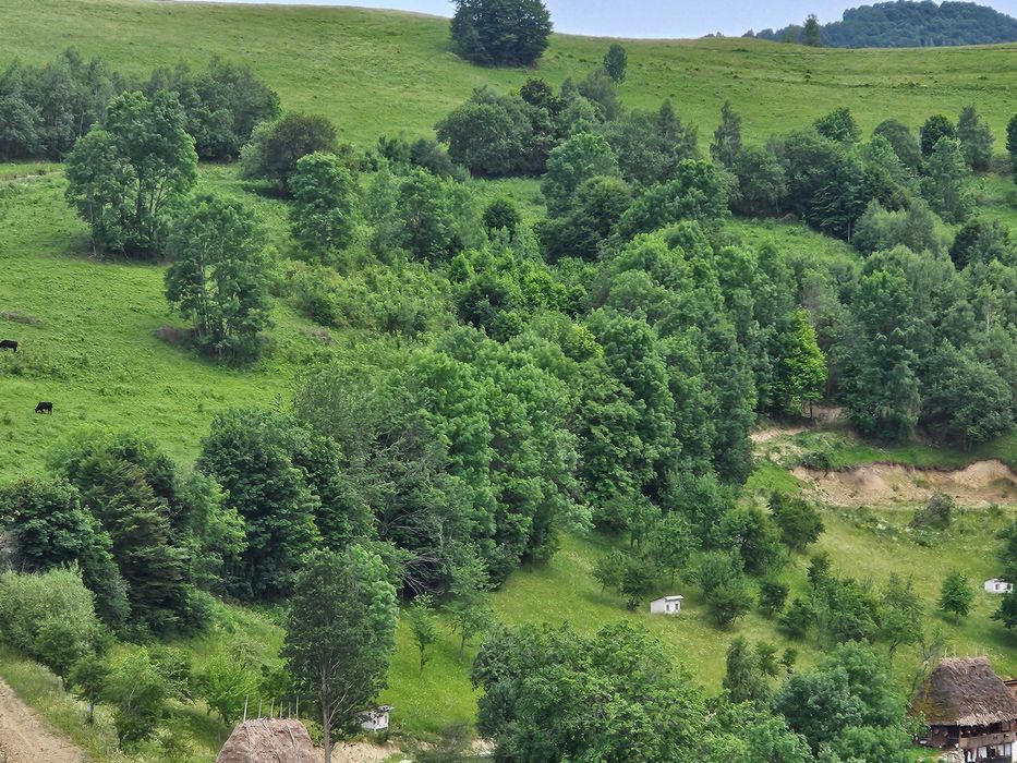 Teren de vanzare pe Transalpina de Apuseni