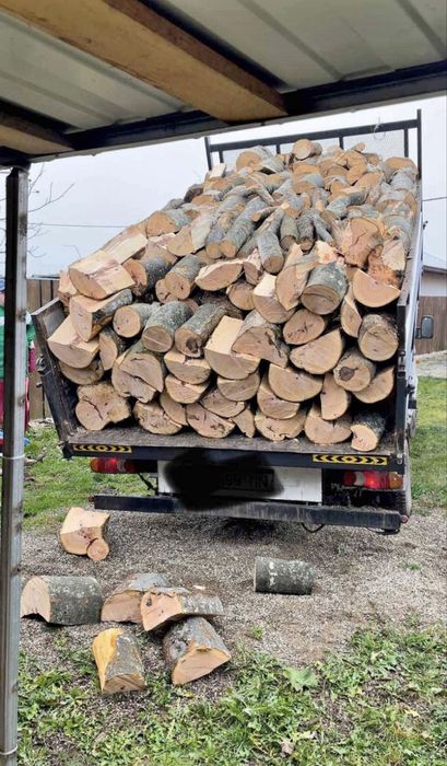 Lemne paletizate esenta tare.