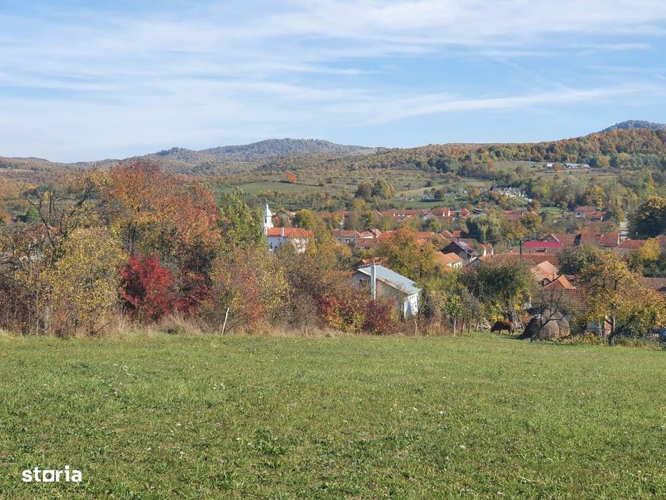 Teren Intravilan Premium 3040 mp în Românești (Tomești)