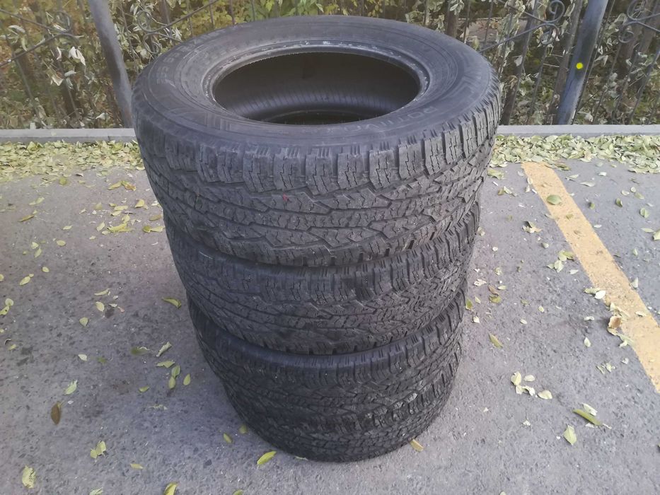 Шины Nokian Rotiiva