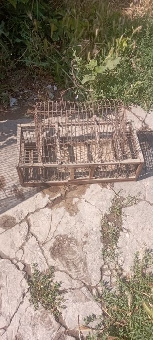 Клетки для содержание и ловли диких певчих птиц