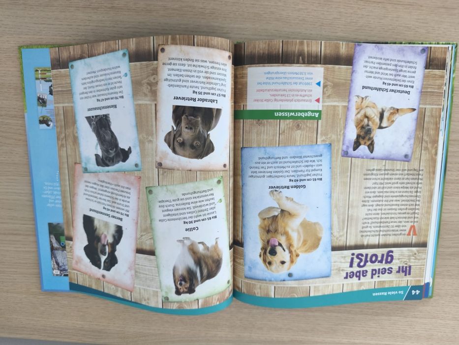 Cartebin germana deapre caini