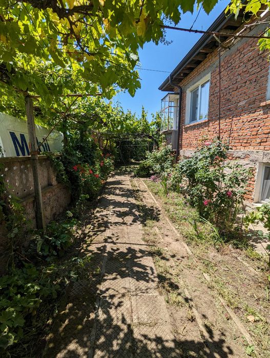 Почистване и поддръжка на дворове, градини и външни пространства.