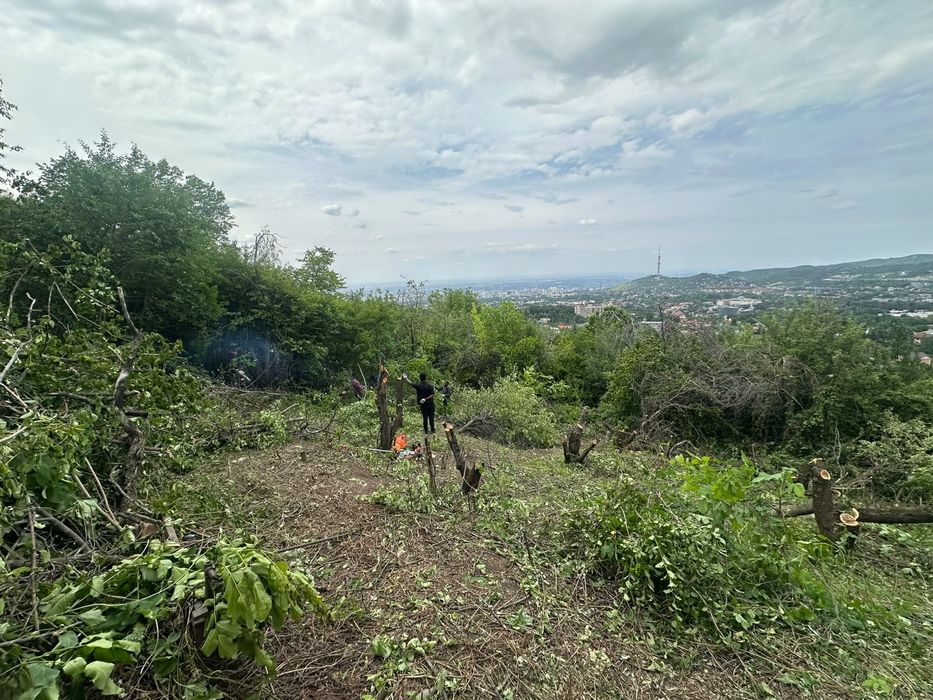 Покос травы, уборка территории