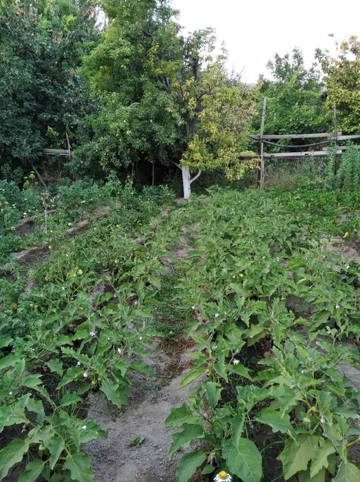 Продам дом, цена договорная
