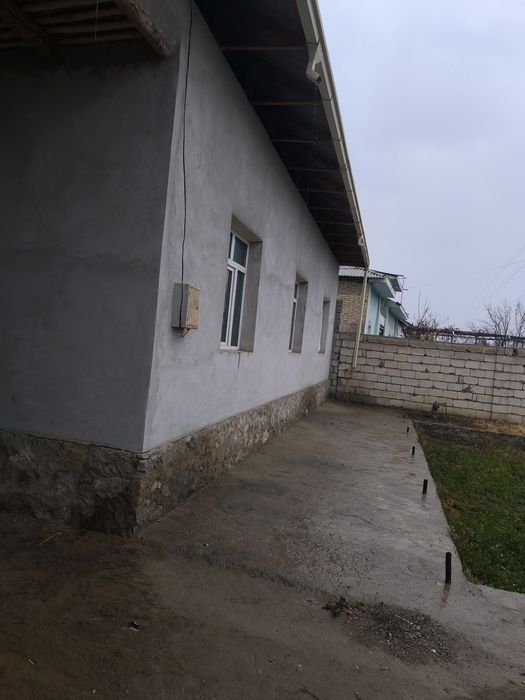 Hovli juda yaxshi holatda