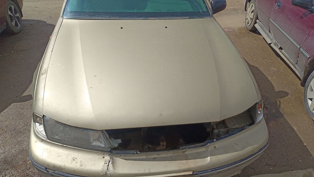 Капоты от нексия