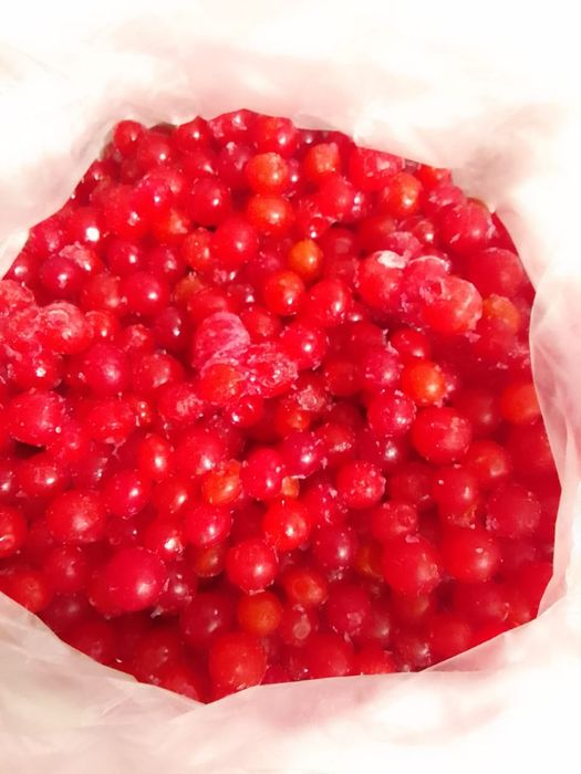 Калина чистая ягода