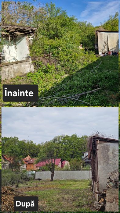 Întreținere curți și grădini