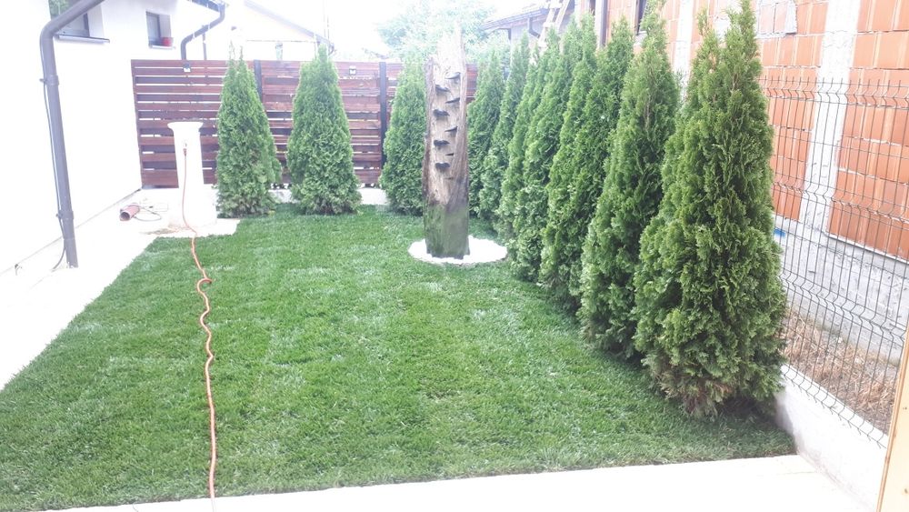 Gazon rulou amenajări gradini