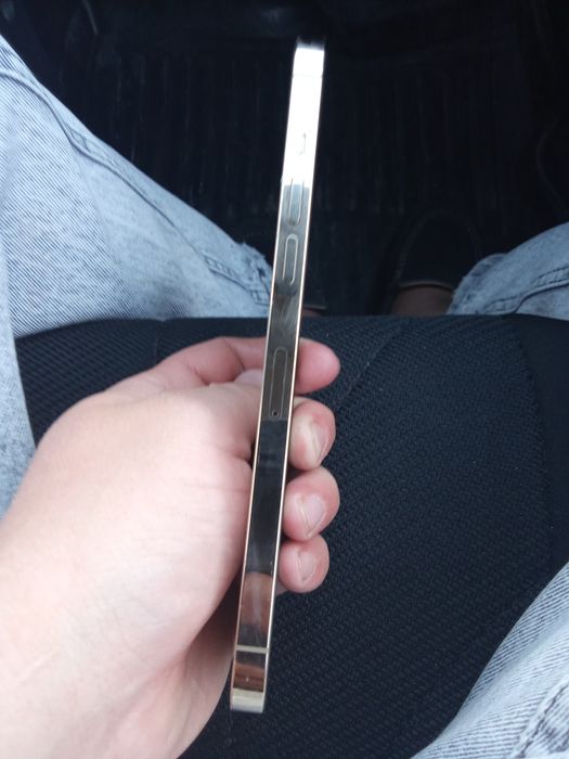 iphone 12 pro max 256 gb