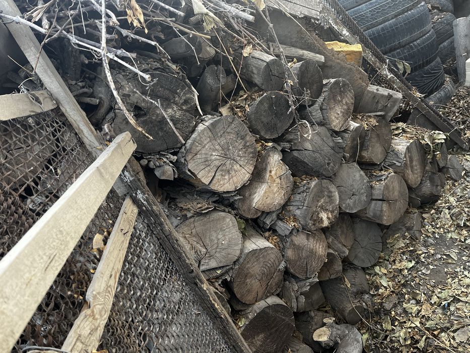 Отынға ағаш сатылады