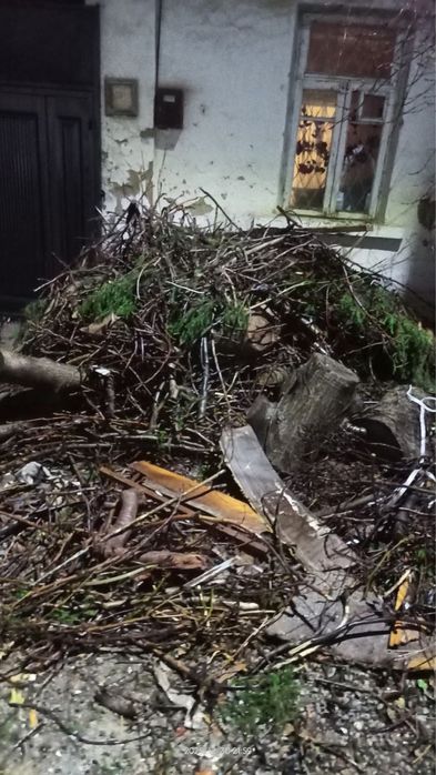 Отин бор текинга об кетасла селхозда