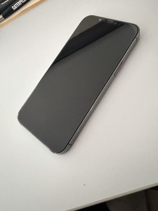 Iphone 12 Pro Max 256Gb