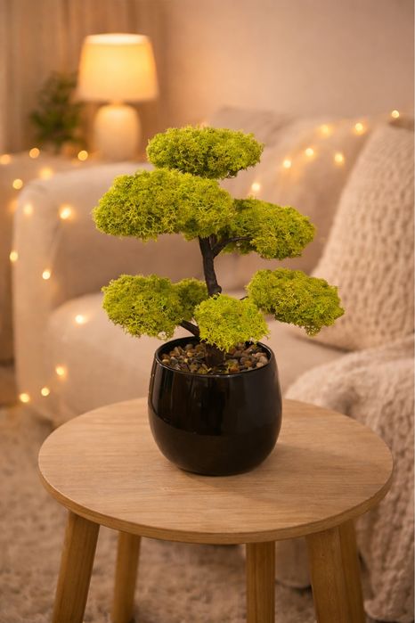 Bonsai cu licheni 35 cm