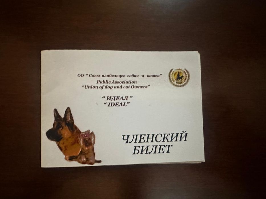 собака Кане корсо