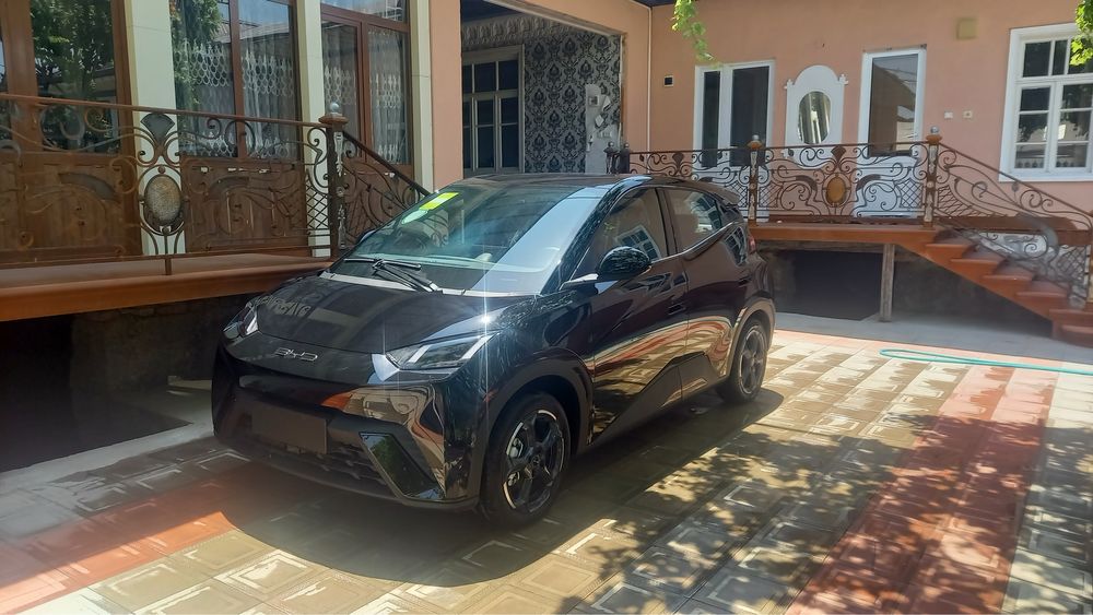 BYD чёрный, краска чистая, тонировка есть 6 месяцов
