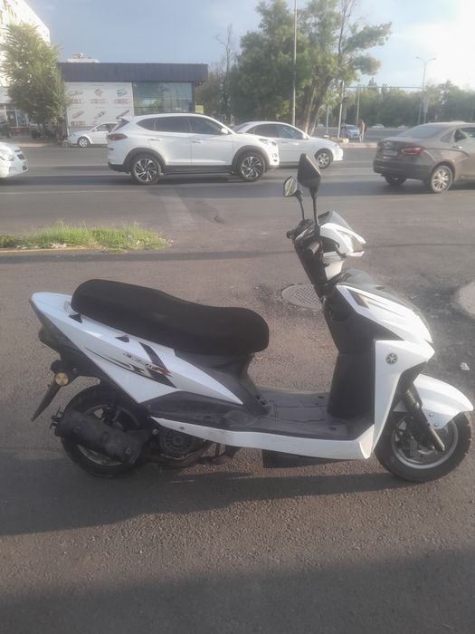 Skutor xolati ideal
