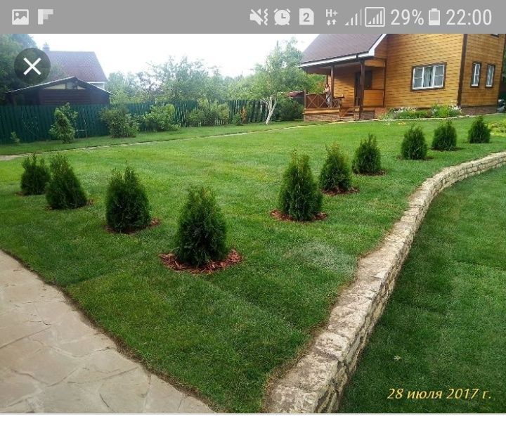 Газон Автополив !