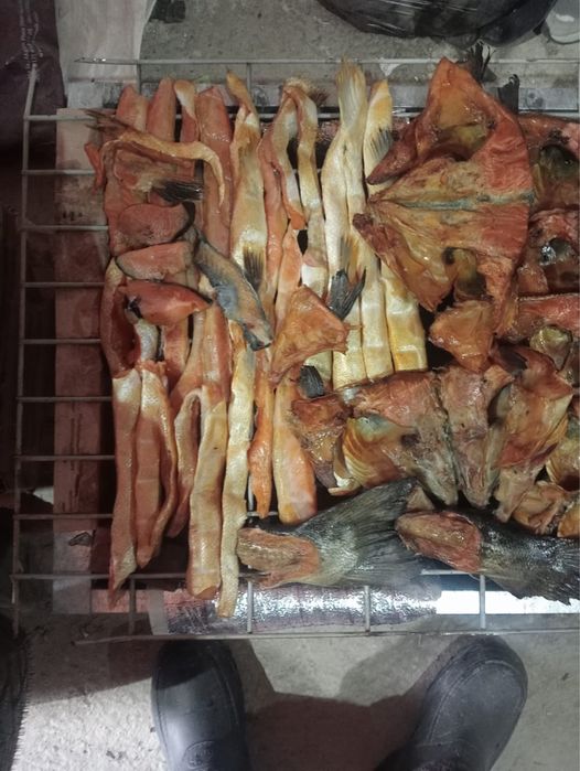 Продаётся копчённые головы Сёмги
