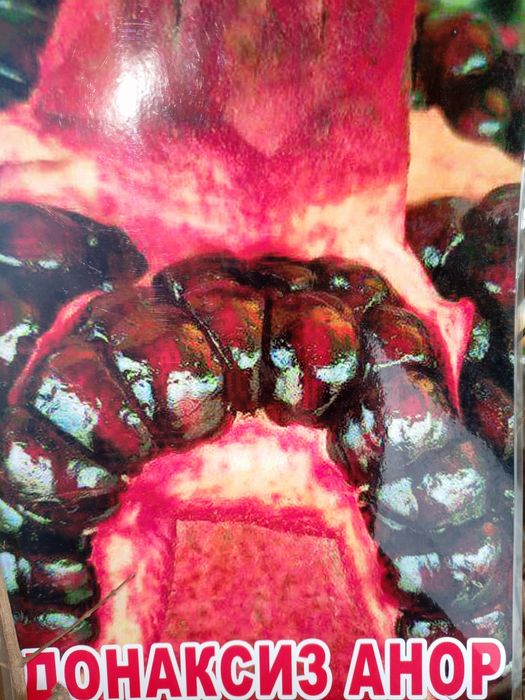 Mevali ko'chatlar va dekaratif daraxtlar  100% ishonchli va garantiya