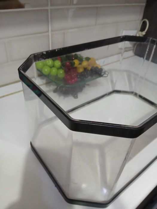 Аквариум для улиток