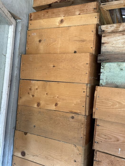 Lazi pentru familii de albine