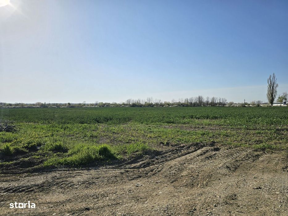 10.100Mp Teren Construcții Intravilan Potigrafu, Deschidere 31M La Dn1