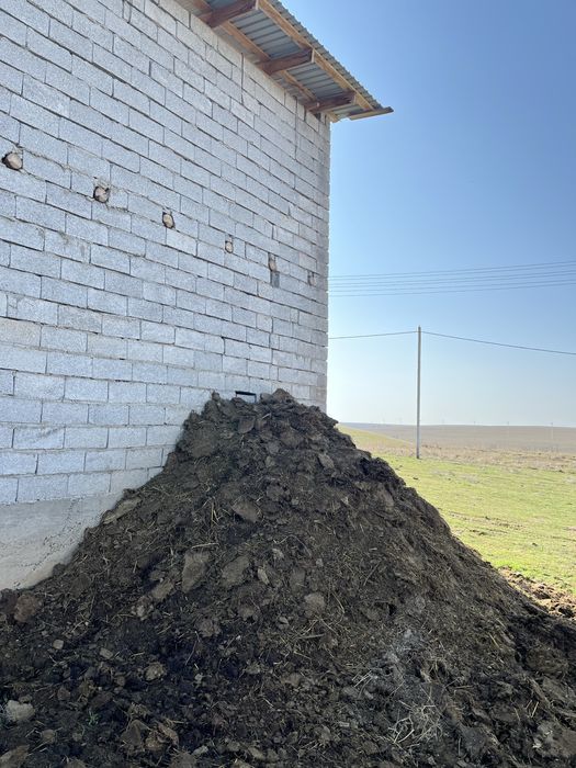 Бөдене ұясы бар.     .