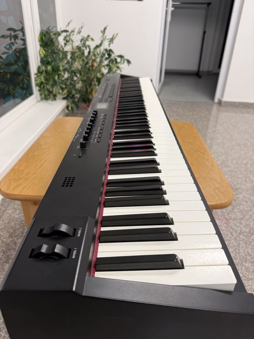 Vand pian Roland Rd88