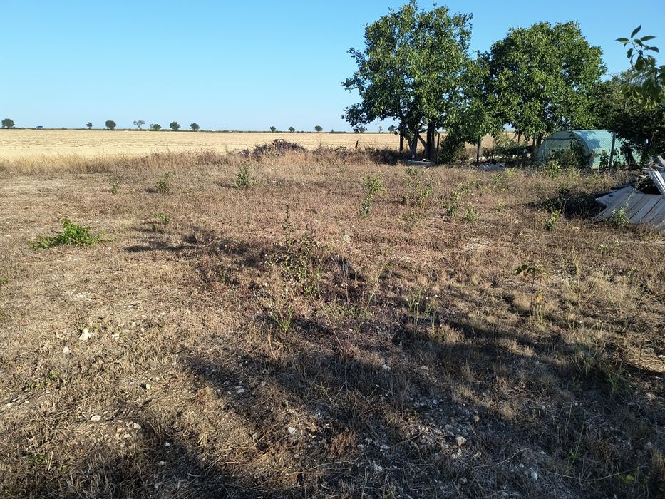 Продава се Парцел в с. Кичево, Област Варна - 45 кв.м за 680 €/кв.м - Снимка #1