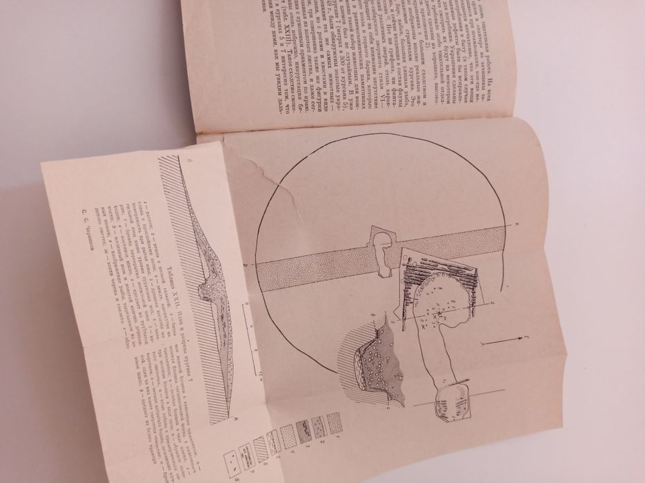 Загадка золотого кургана