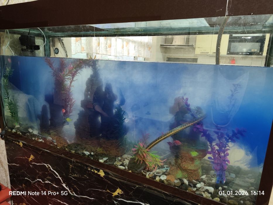 Чистка аквариума