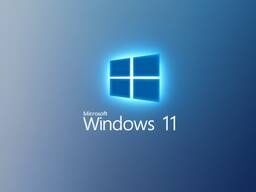 Установка windows XP,7,8.1,10,11