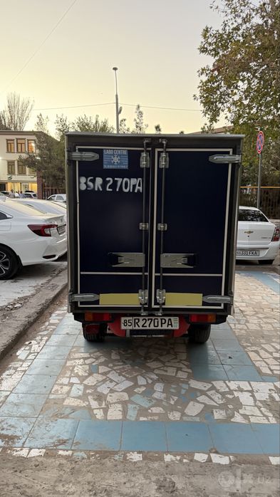 Damas labo 2023