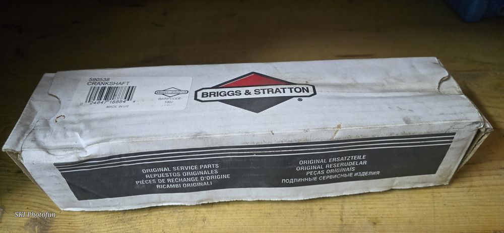 Vand arbore cotit Briggs & Stratton