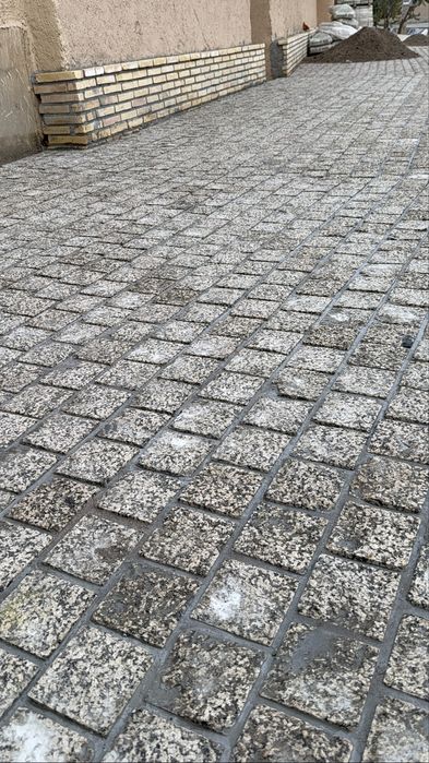 Bruchatka Koksaroy kolitiy