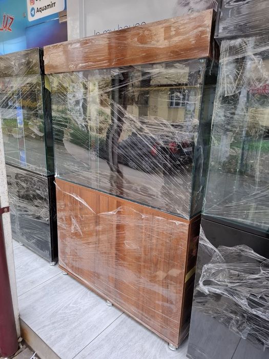 Akvarum va baliq magazin