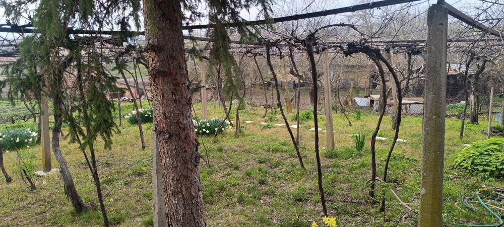 Селски имот къща!