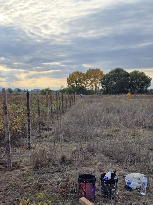 Парцел Скутаре 2130кв.м