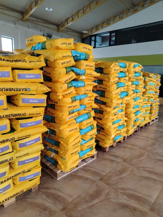 Семена газона Barenbrug