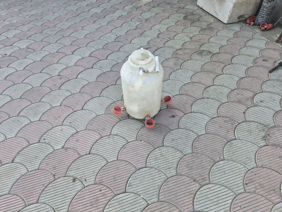 Клетка для перепелки