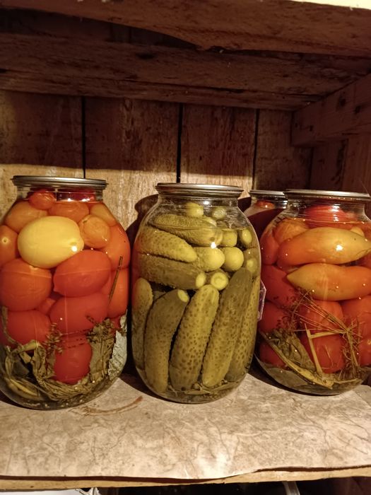 Продам соленье домашнее