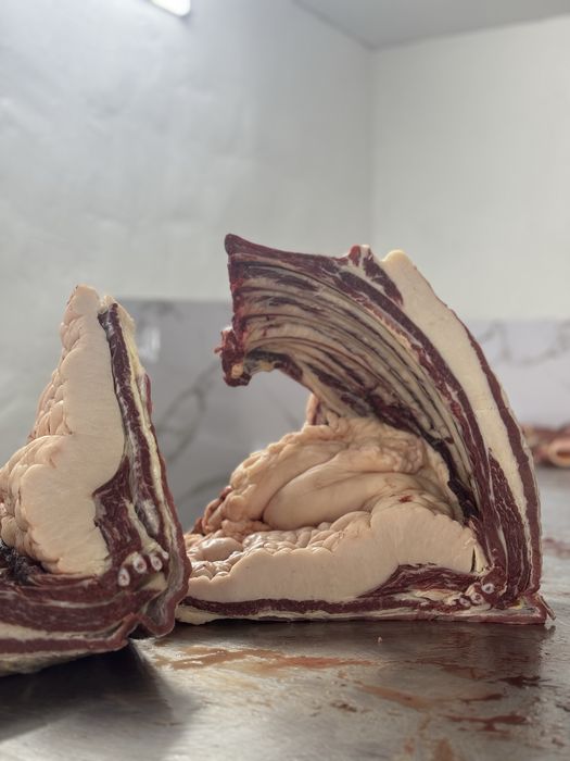 Мясо Конины всегда