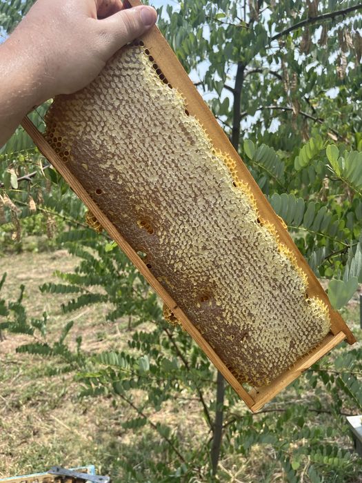 Пчелен мед “Букет”