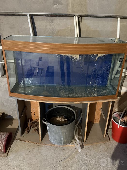 Akvarium  yaxshi holatli teshilmagan hechqayeri