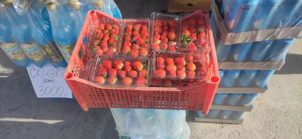 Продаётся клубника